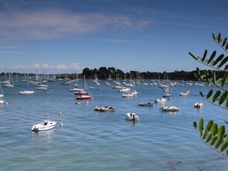 Microclimats : ces endroits où il ferait...