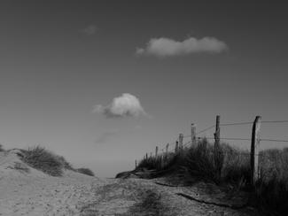 La vie en noir et blanc : expo photo de...
