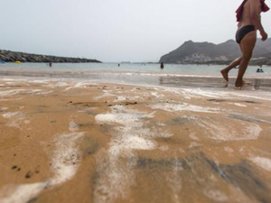 Canaries : les plages restent ouvertes malgré des algues urticantes