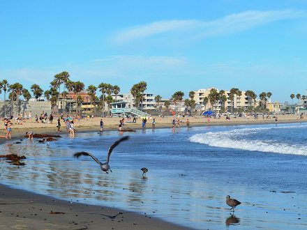 Venice Beach Venice Beach