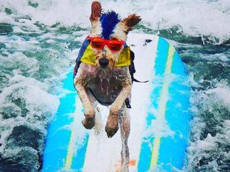 Kelly Slater n'a qu'à bien se tenir ! 