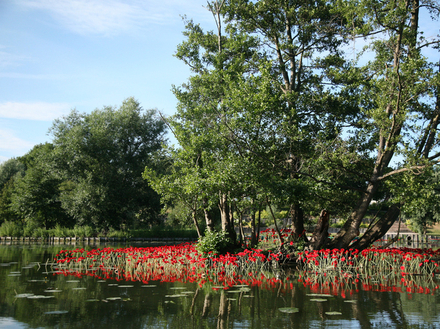 Hortillonnages d'Amiens Hortillonnages d'Amiens