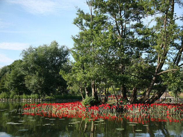Hortillonnages d'Amiens Nautisme Article