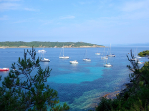 Plongée dans les eaux turquoise de Port-Cros