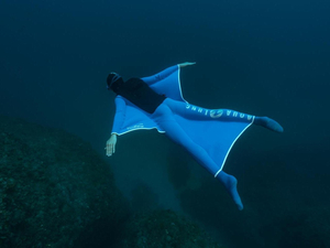 Pierre Frolla, l'homme qui volait dans l'océan