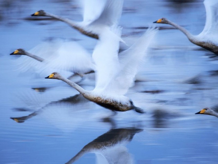 2e place "To live" 2e place "To live"