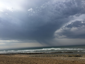 Bilan de l'été : très contrasté sur nos côtes