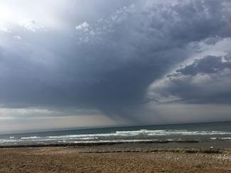 Bilan de l'été : très contrasté sur nos côtes