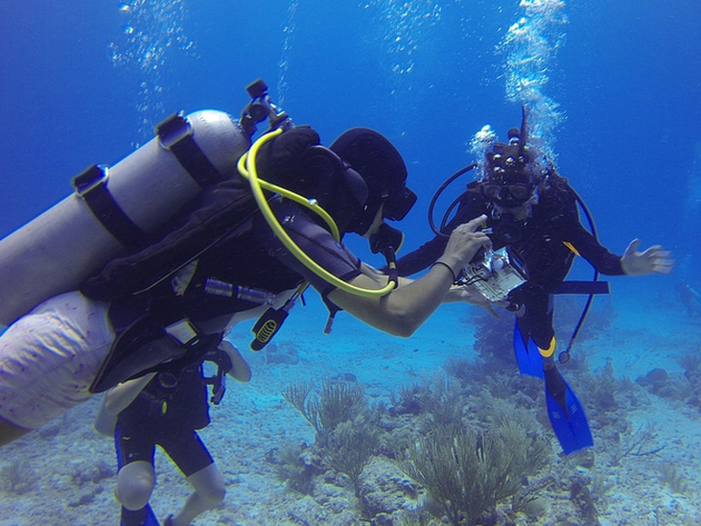 Communiquer avec son partenaire et vérifier ses instruments de plongée régulièrement Nautisme Article
