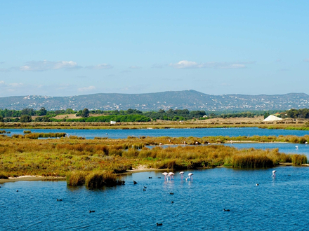 Ria Formosa Ria Formosa