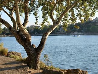 A la découverte de l'étang de Berre, immense...