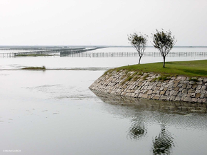 Shanghai, ville portuaire entre tradition et commerce