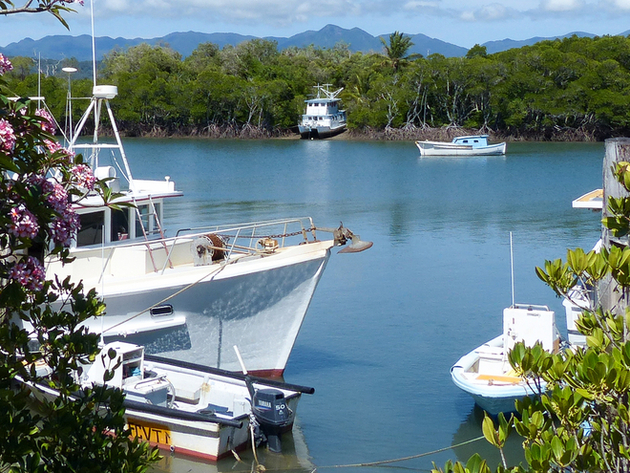 Dickson Inlet, Port Douglas Nautisme Article