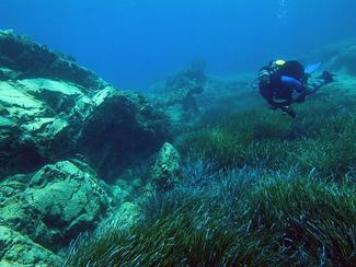 Plongée dans les eaux de Chypre