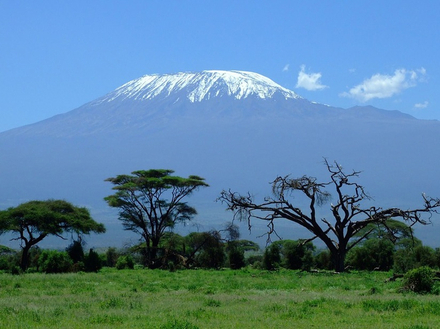Kilimanjaro