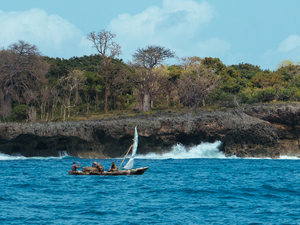 Évadez-vous au Kenya, berceau de l'humanité