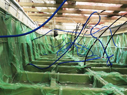 La pinasse est en verre/polyester, technique d'infusion Nautisme Article