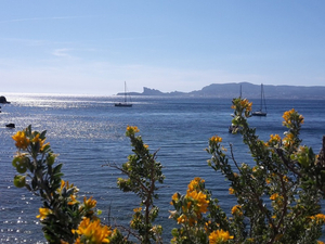 Finies les baignades en France pour cette année