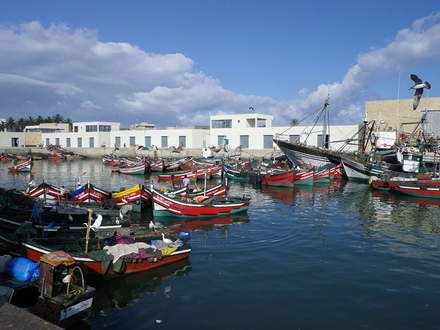 Le port de pêche d'El Jadida