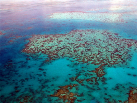 La Grande Barrière de corail, vue du ciel La Grande Barrière de corail, vue du ciel