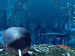 Plongez en réalité virtuelle à l'Océanopolis de Brest !