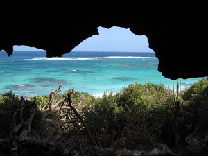 Barbuda, une destination 100 % nature