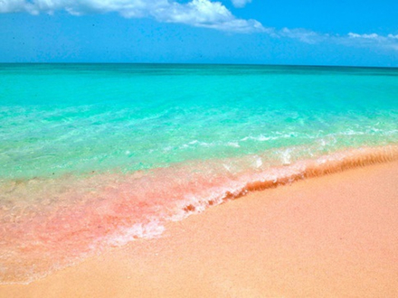 Plage de sable rose