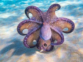 National Geographic célèbre la nature en photos !