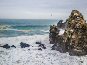 Et si on partait au Pérou pour aller chercher le printemps austral ?