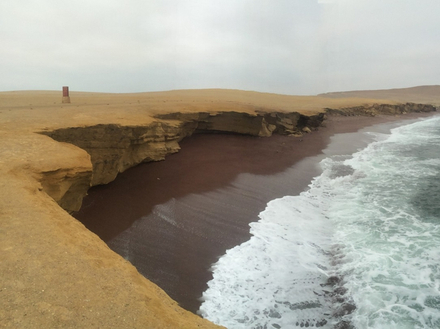 La réserve nationale de Paracas se trouve dans la zone la plus désertique du Pérou et abrite de nombreuses espèces La réserve nationale de Paracas se trouve dans la zone la plus désertique du Pérou et abrite de nombreuses espèces