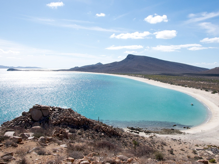 À ne pas manquer, Espiritu Santo et ses baies profondes À ne pas manquer, Espiritu Santo et ses baies profondes