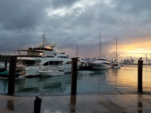 Miami, une destination festive et branchée