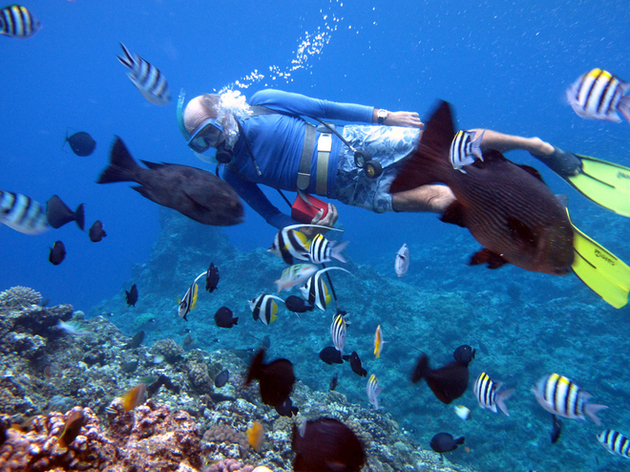 Les spots de plongée sont tous aussi incroyables les uns que les autres dans l'archipel Nautisme Article