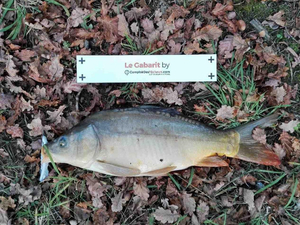 Pêchez et mesurez la taille de votre poisson en quelques clics !