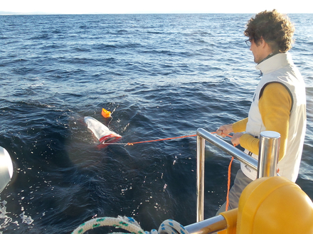 Un des problèmes récurrents de cette zone fortement touristiques est la gestion des déchets et des eaux usées. Un des problèmes récurrents de cette zone fortement touristiques est la gestion des déchets et des eaux usées.
