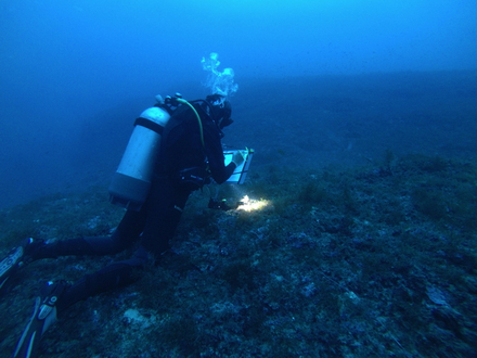 Pendant deux jours les plongeurs de l'association Ondine font de nombreux relevés et partagent avec nous leurs découvertes.