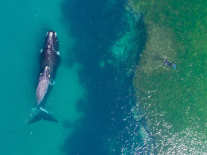 2017 vu du ciel : toute la beauté de la nature