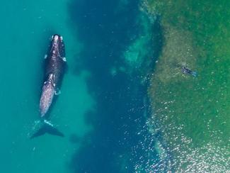 2017 vu du ciel : toute la beauté de la nature