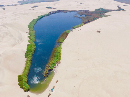 Une oasis dans le désert péruvien Une oasis dans le désert péruvien