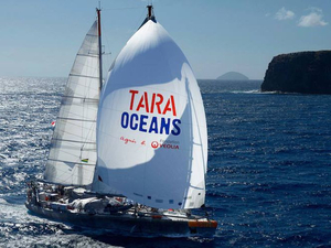 Expédition Tara Oceans : découverte de plus de 100 millions de gènes issus du monde marin