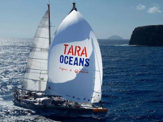 Expédition Tara Oceans : découverte de plus de...