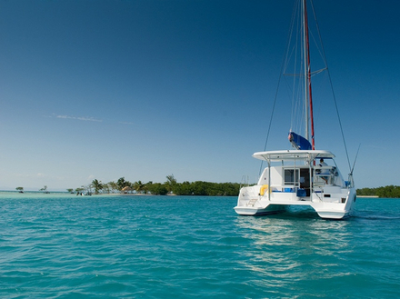 Ce sont les Caraïbes qui séduisent le plus ! A Antigua, +95% de réservations, 76% à Grenade !