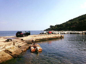 Mobireef : création d'habitats artificiels au secours de la biodiversité marine