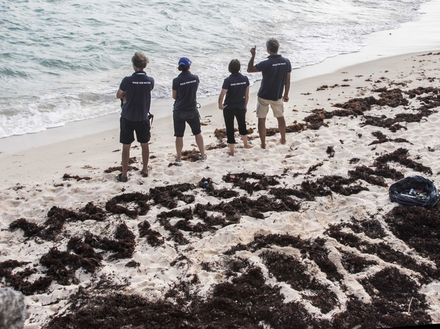 Chaque escale est également l'occasion d'organiser des actions concrètes, comme le nettoyage des plages. Ici, aux Bermudes. Chaque escale est également l'occasion d'organiser des actions concrètes, comme le nettoyage des plages. Ici, aux Bermudes.