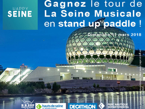 Découvrir Paris en paddle, ça vous dit ?