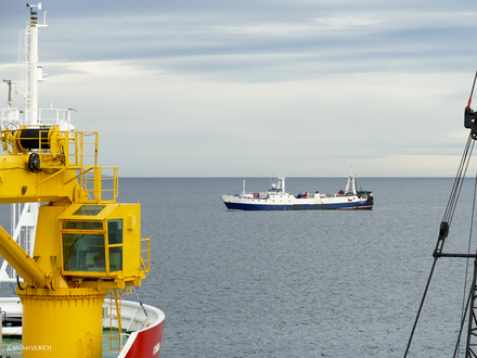 Chalutier de grande pêche au mouillage Chalutier de grande pêche au mouillage