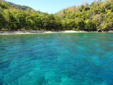 North Sulawesi, en plus de ses superbes plages, est idéal pour les débutants en plongée. Nautisme Article