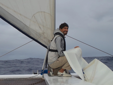 Préparation du génois