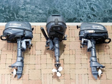L'opération "Moteurs transportables" concerne les hors-bord de 2,5 à 20 ch. Nautisme Article