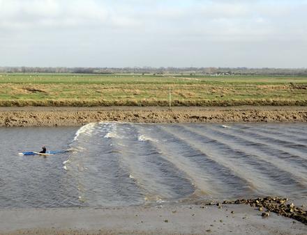 Le canal de Carentan, dans la Baie des Veys, voit déferler un mascaret furtif et discret, mais qui s'étend tout de même sur quatre kilomètres, à une vitesse de douze km/h. Nautisme Article